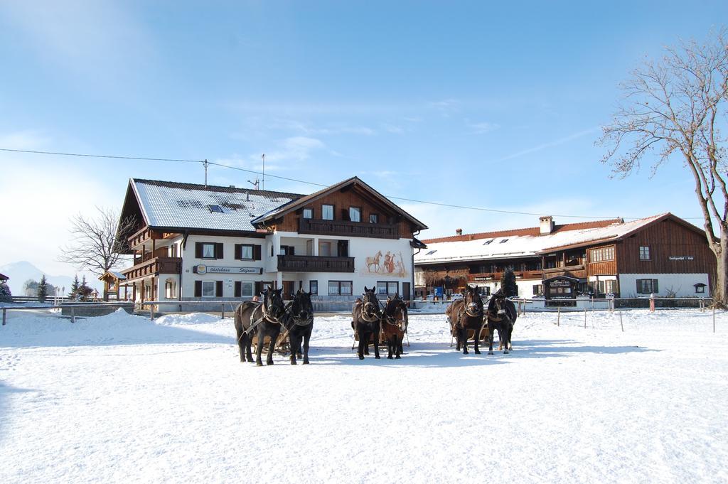 Gaestehaus Stefanie Schwangau Oda fotoğraf