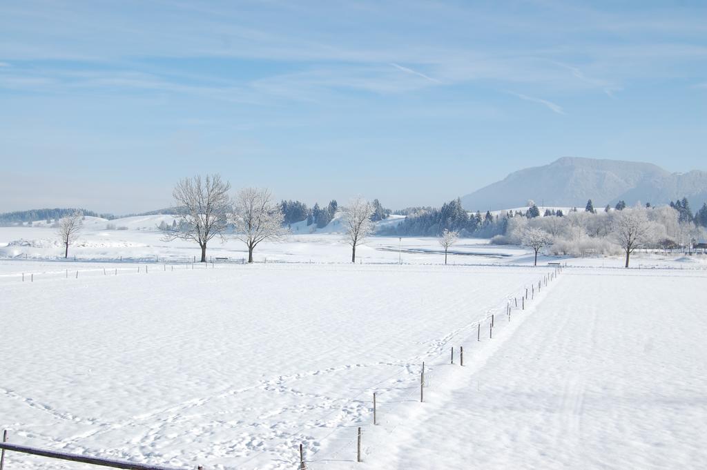 Gaestehaus Stefanie Schwangau Oda fotoğraf